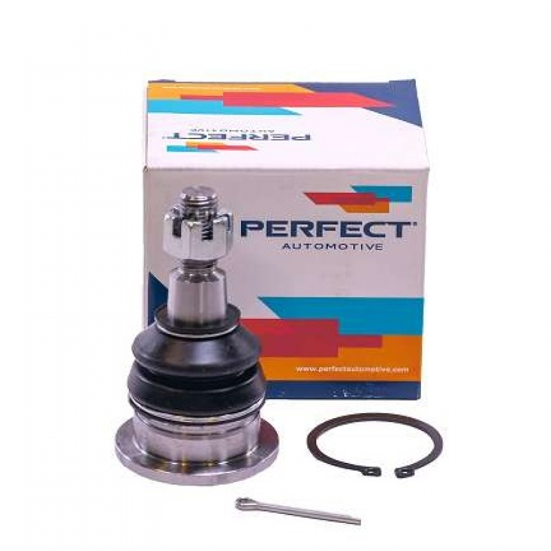 Pivo Suspensao Accord (traseiro) Perfect