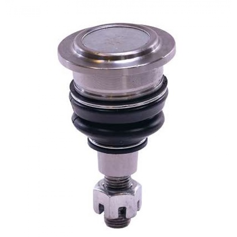 Pivo Suspensao Accord (traseiro) Perfect