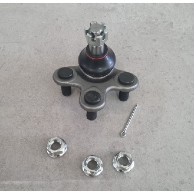 Pivo Suspensao Crv Perfect