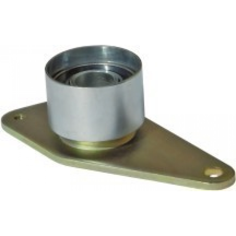 Tensor Correia Dentada Laguna/megane/440/460 Roltens