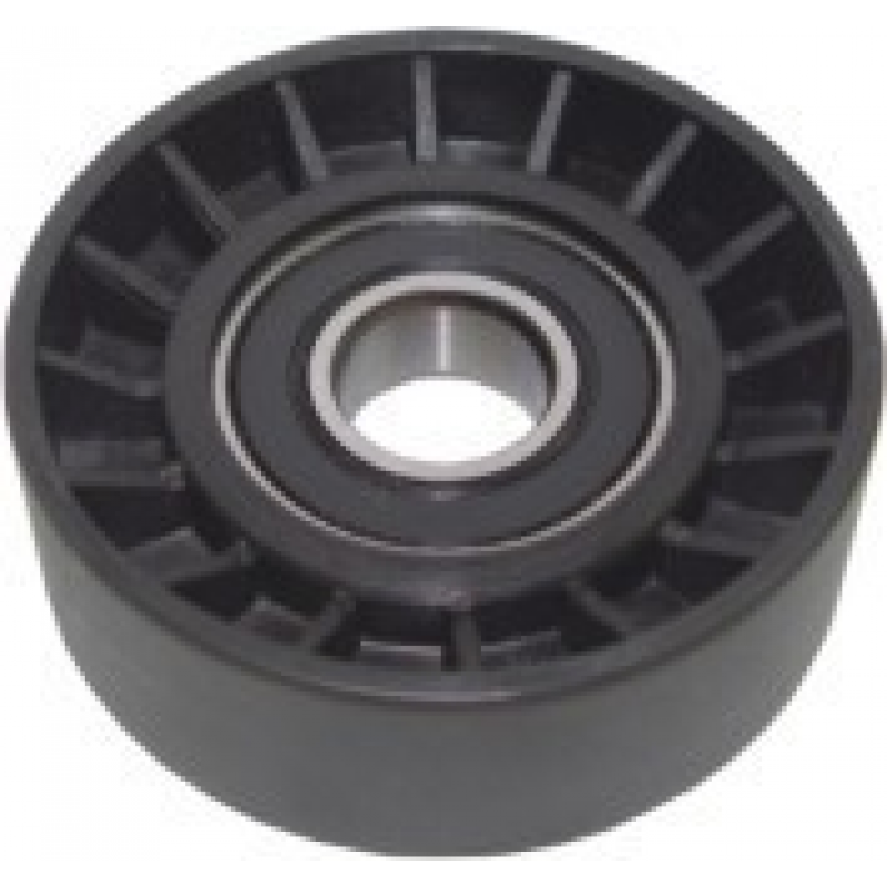 Polia Correia Micro V Amarok/bora/golf/eos/jetta/new Beetle/passat/polo Roltens
