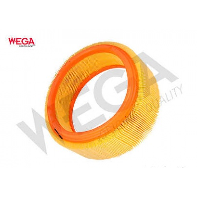 Filtro De Ar Clio/kangoo/twingo (redondo) Wega
