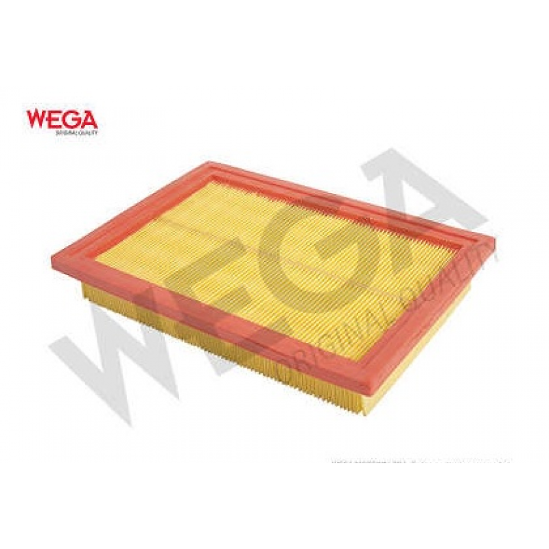 Filtro De Ar Coupe/elantra Wega