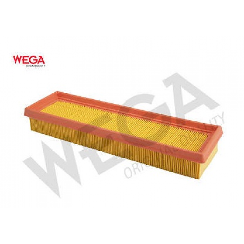 Filtro De Ar Express/kangoo/twingo/rapid Wega