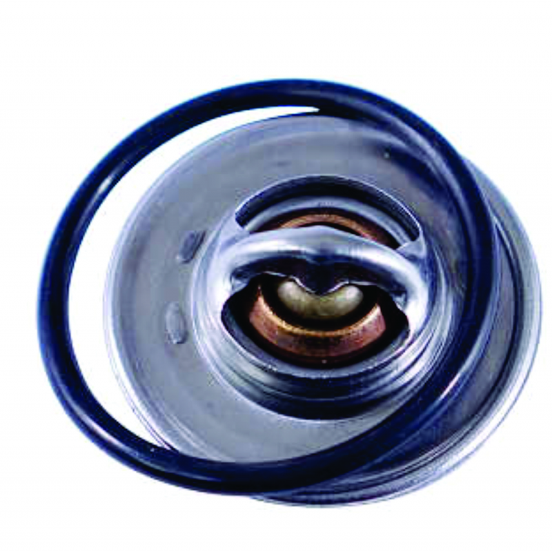 Valvula Termostatica Golf/bora/a3 Magneti Marelli