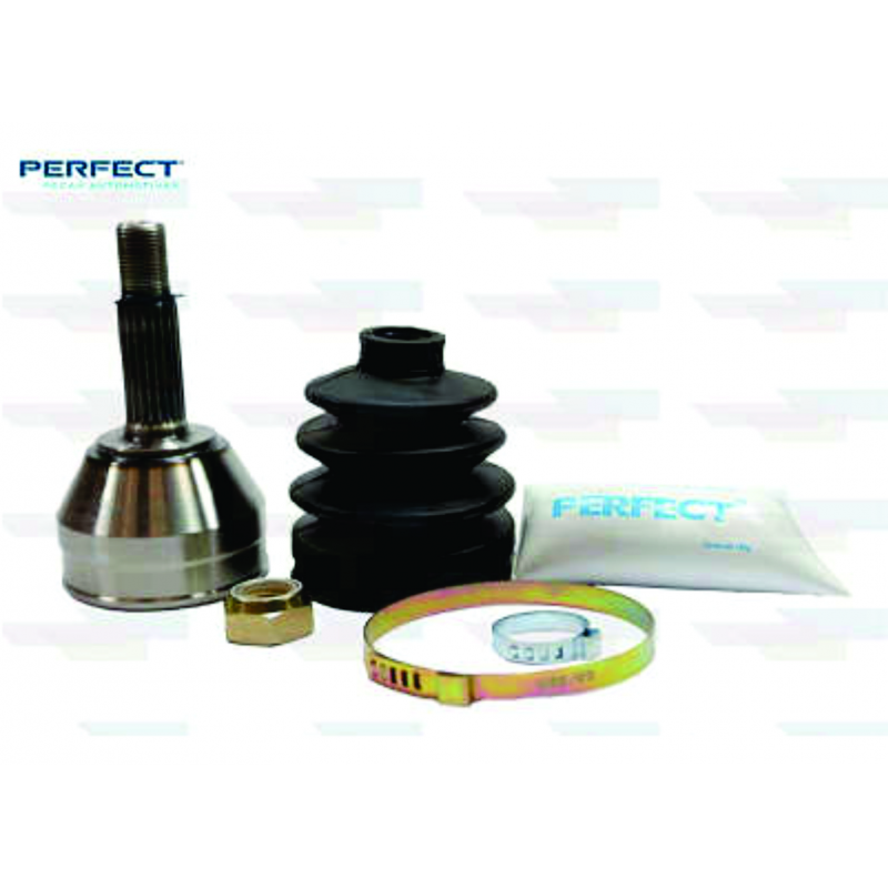 Homocinetica Roda Clio Perfect