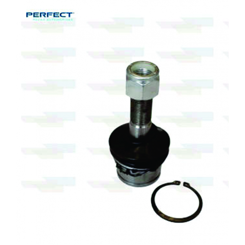Pivo Suspensao F1000/f250/f350 (superior) Perfect