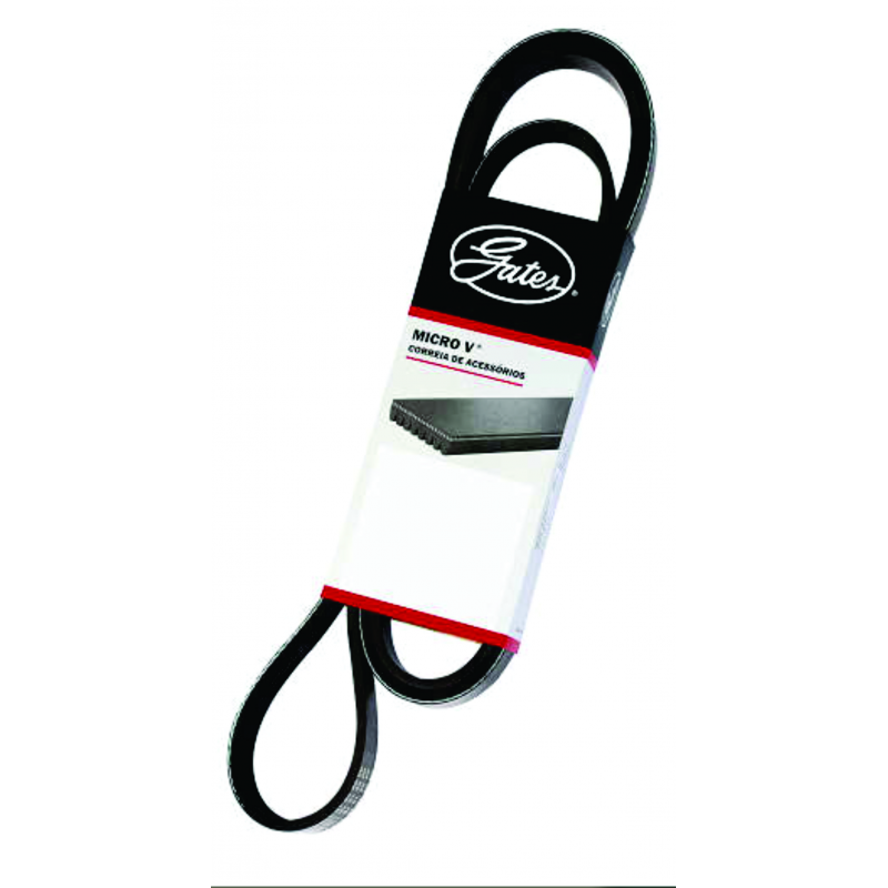 Correia Micro V Cargo/f250 Gates