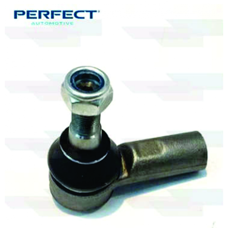 Terminal De Direcao Daily Perfect