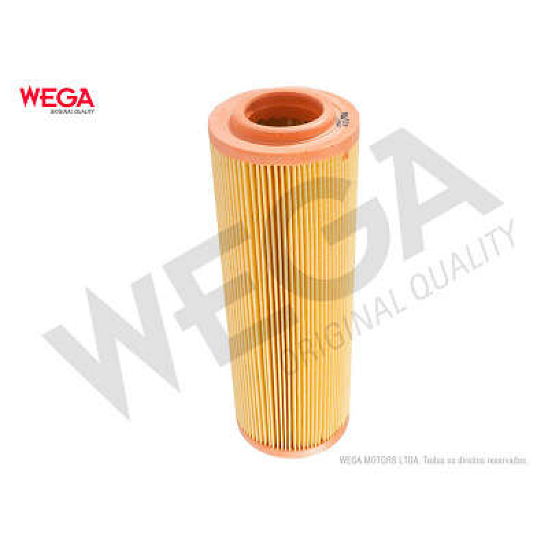 Filtro De Ar Ecosport Wega