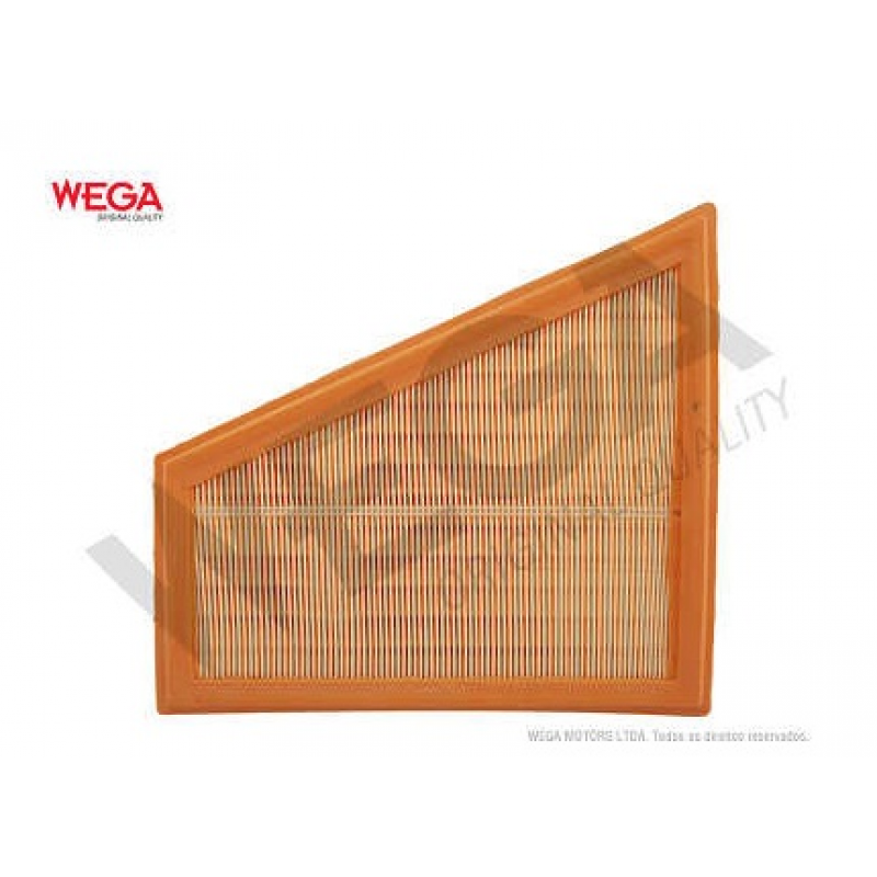 Filtro De Ar Serie 5/x1/z4 Wega