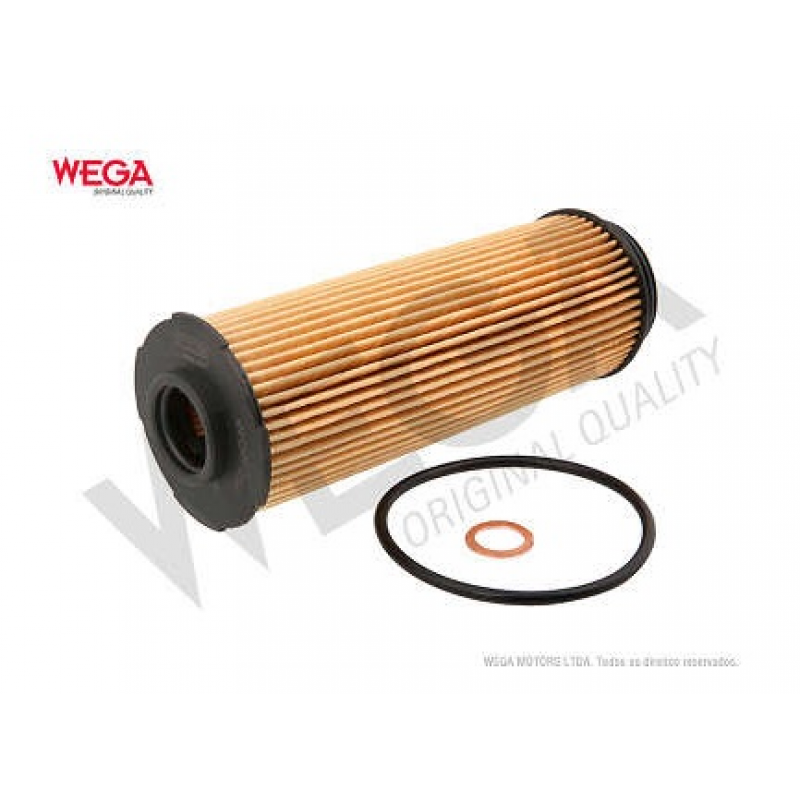 Filtro De Oleo 745le/m140i/x5/z4 Wega
