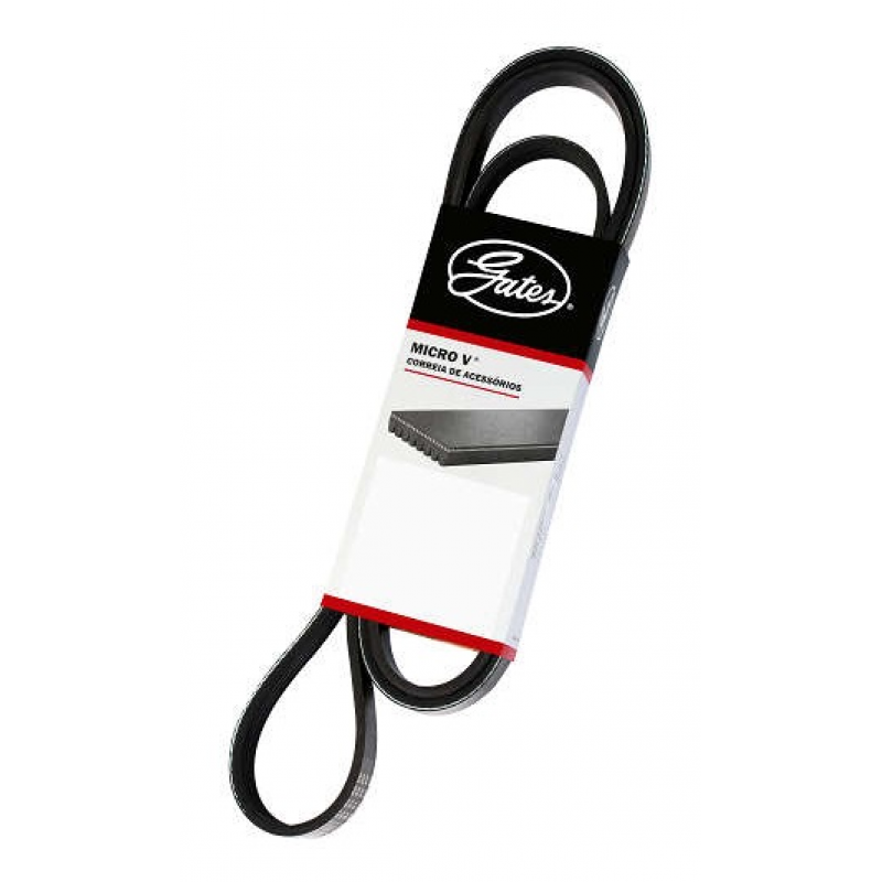 Correia Micro V Bongo/k2500 Gates