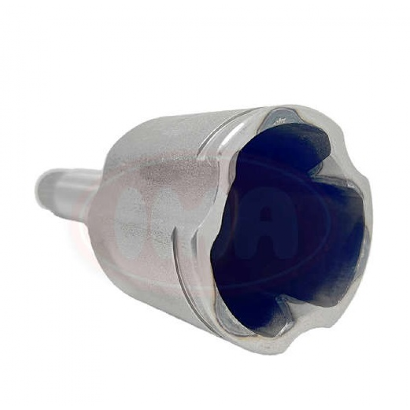 Tulipa Aircross/c3 (direito) Ima