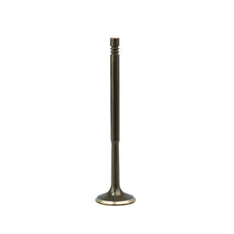 Valvula De Admissao A3/s3/golf Magneti Marelli
