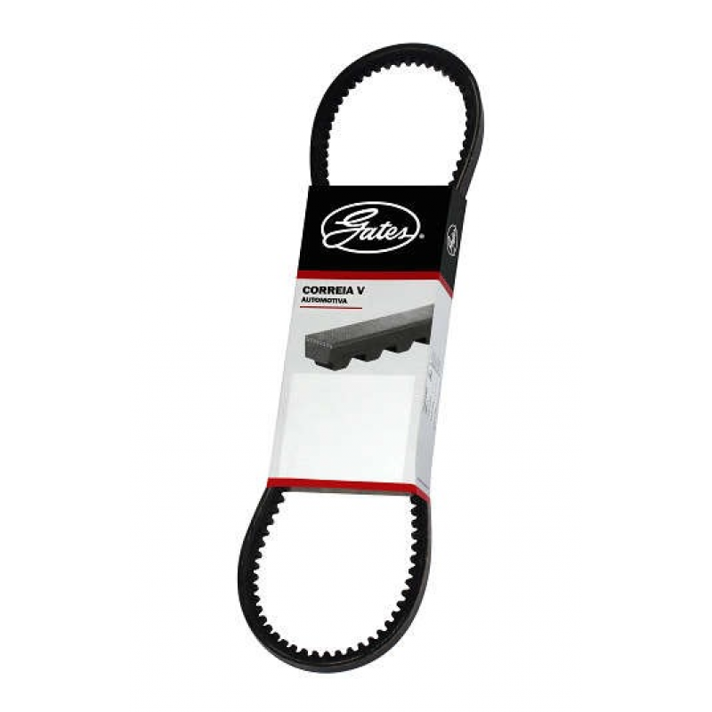 Correia Alternador (medida Especial) Gates