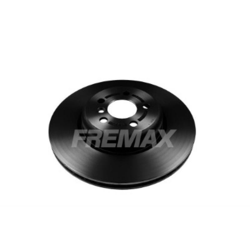 Disco De Freio Traseiro Z4/x5/x3 Fremax