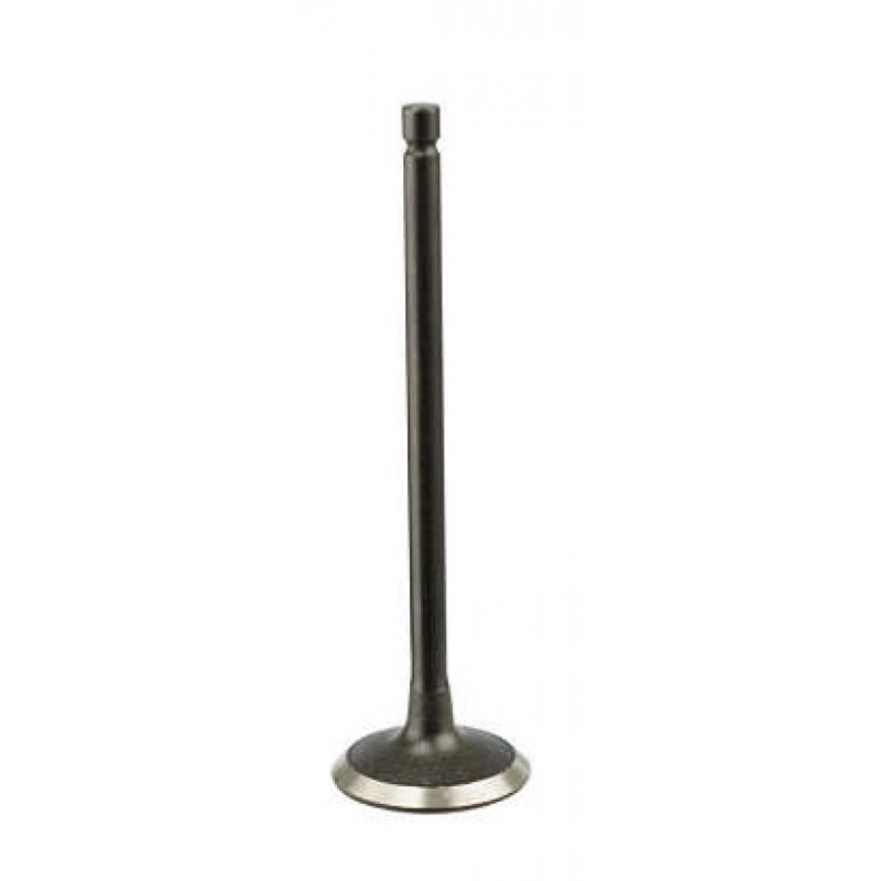 Valvula De Admissao C3/206/307 Magneti Marelli