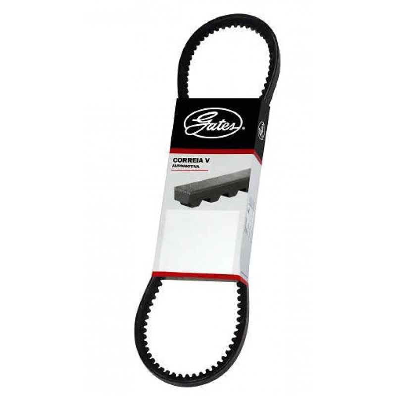 Correia Alternador (medida Especial) Gates