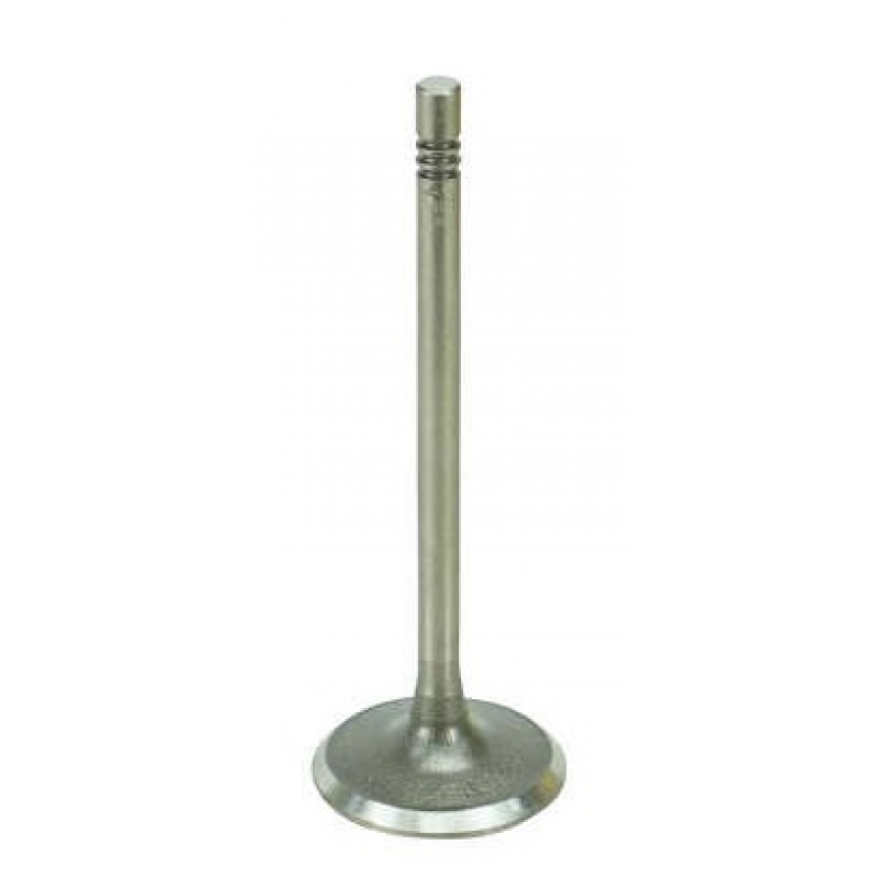Valvula De Admissao Kombi/golf/polo Hatch/sedan/saveiro/gol/fox/space Magneti Marelli