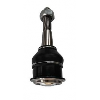 Pivo De Suspensao Cruze Driveway